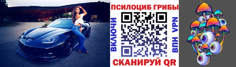 Псилоцибиновые грибы прущие грибы  наркотики  Дзержинск 